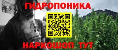 мяу мяу мука Гусев