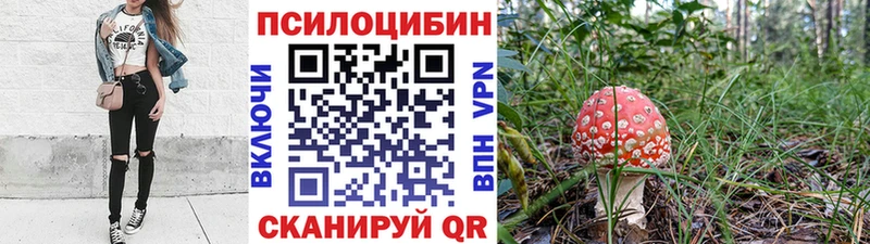 Псилоцибиновые грибы Psilocybe  ссылка на мегу tor  Омск 