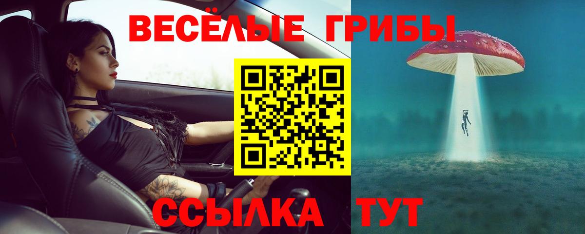 Псилоцибиновые грибы Psilocybe Омск